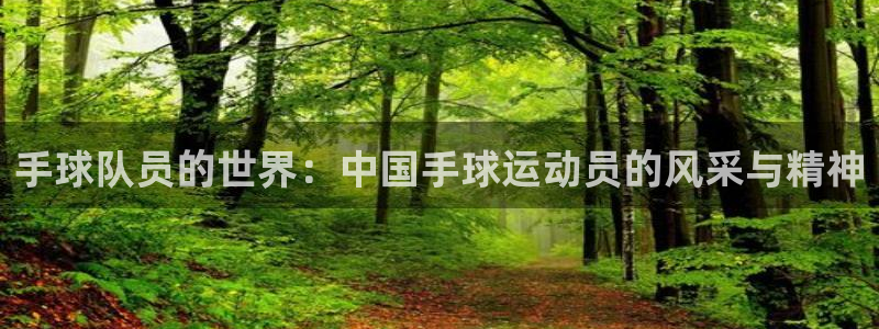 vsport体育官网下载平台假的吗是真的吗吗:手球队员的世界