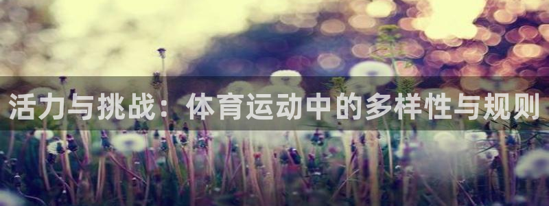 vsport体育官方正版app代理:活力与挑战:体育运动中的