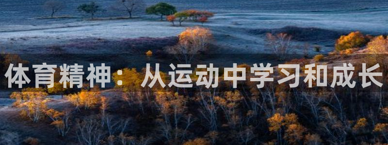 vsport体育官方正版app科技:体育精神:从运动中学习和