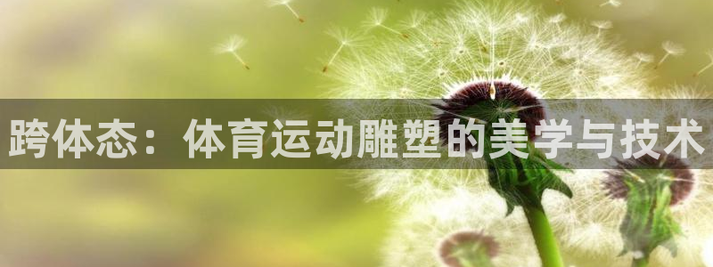 vsport体育官网下载招商电话号码:跨体态:体育运动雕塑的